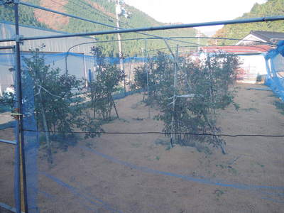 f0142721_3142057.jpg