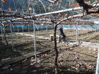 f0142721_3393669.jpg