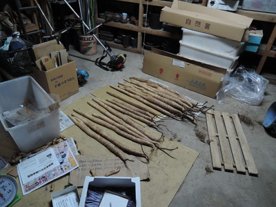 f0142721_38073.jpg