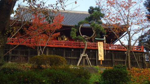 b0057924_21561665.jpg