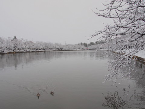b0147224_19573522.jpg
