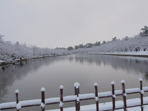 b0147224_19592487.jpg