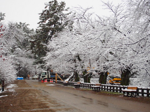 b0147224_20132668.jpg