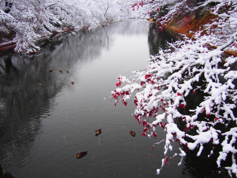 b0147224_20234434.jpg