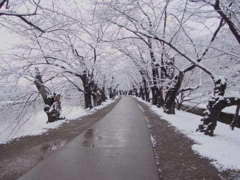 b0147224_2041088.jpg