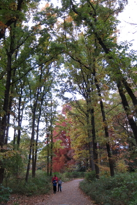 e0133025_09531135.jpg