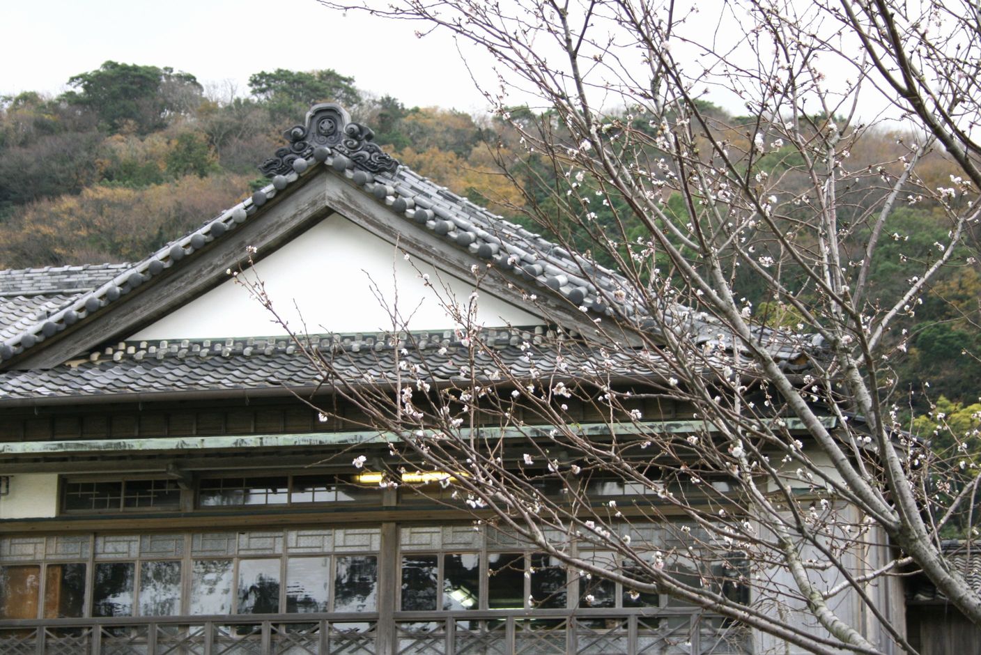 d0286932_77441.jpg