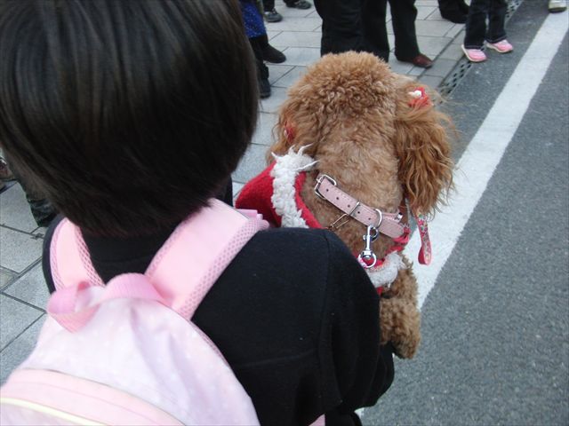 アトラス秋祭り_f0032332_2116224.jpg