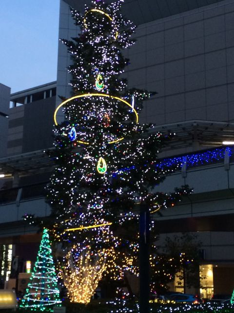 c0220337_1059829.jpg