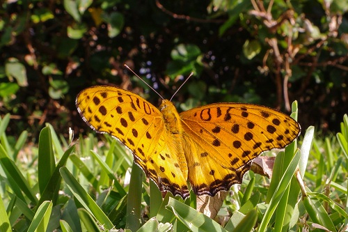 a0167341_21261890.jpg
