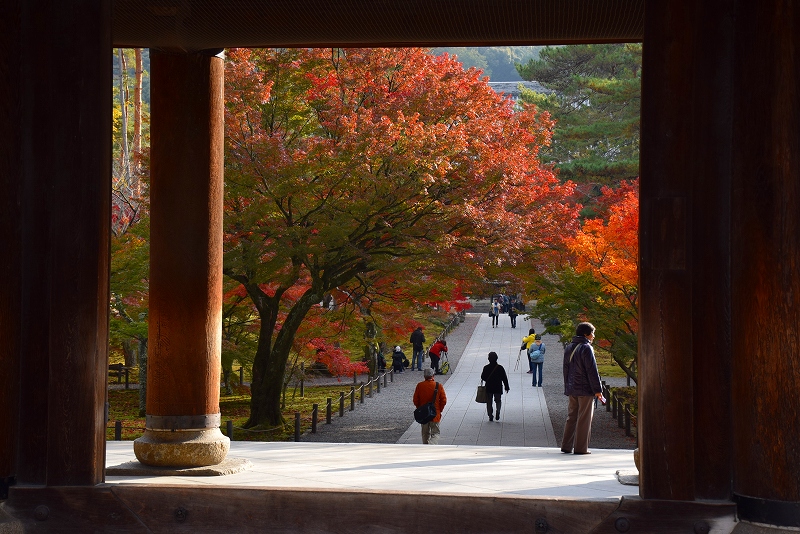 絶妙な紅葉をふりまく『南禅寺』20141119_e0237645_20352150.jpg