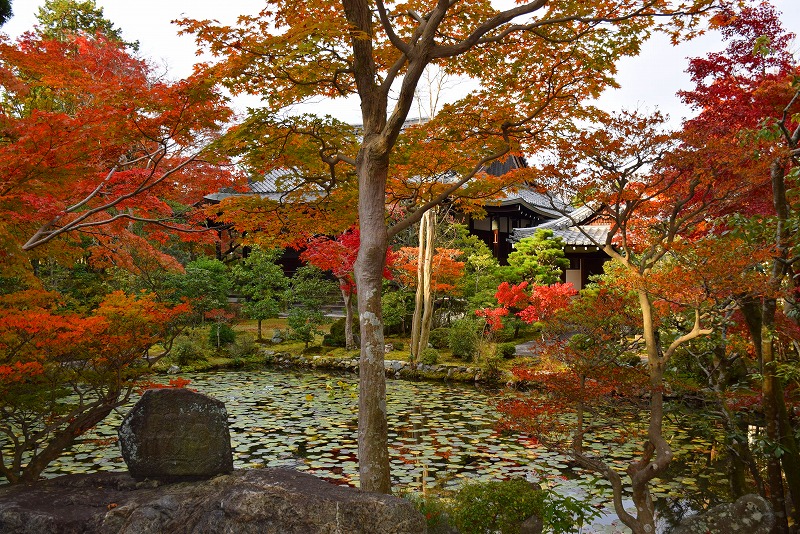 絶妙な紅葉をふりまく『南禅寺』20141119_e0237645_20354746.jpg