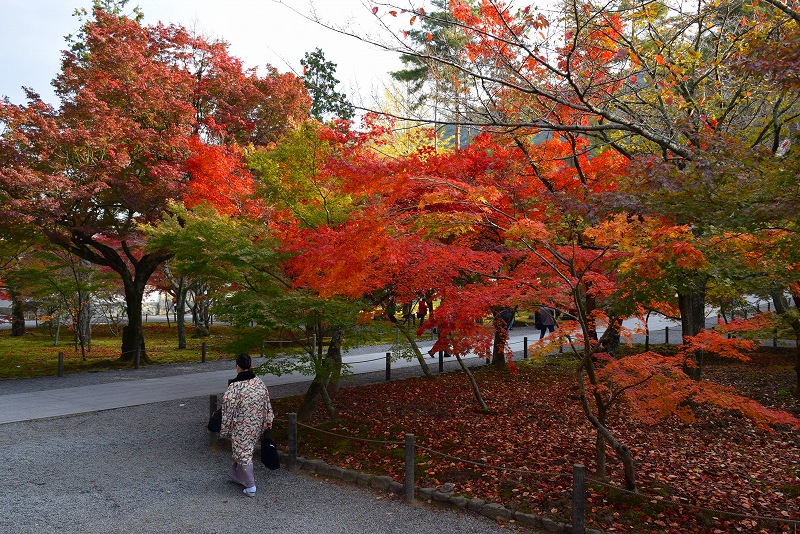 絶妙な紅葉をふりまく『南禅寺』20141119_e0237645_2036436.jpg