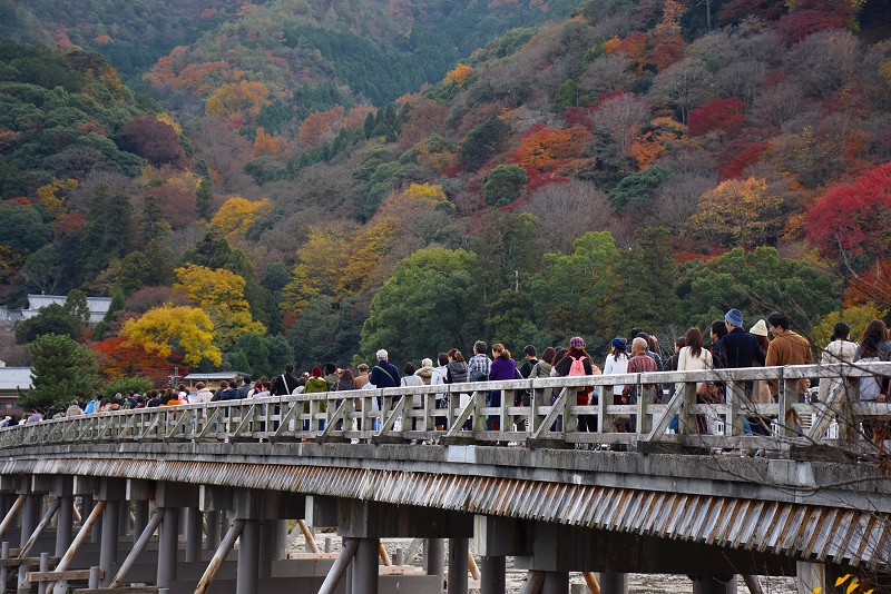 今年も凄い人出、紅葉の『嵐山』20141130_e0237645_21163543.jpg