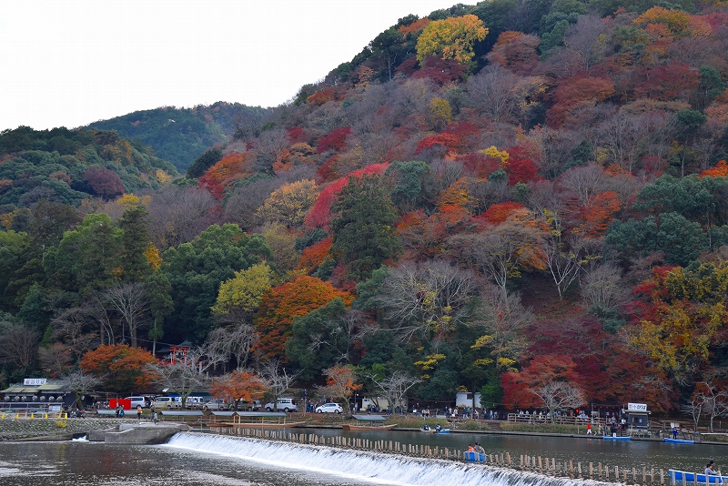 今年も凄い人出、紅葉の『嵐山』20141130_e0237645_21172697.jpg