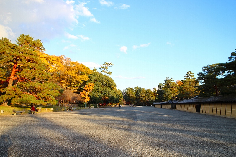 紅葉の絨毯の『京都御苑（御所）』20141129_e0237645_2122965.jpg