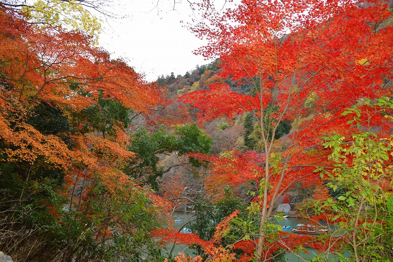 今年も凄い人出、紅葉の『嵐山』20141130_e0237645_21243268.jpg