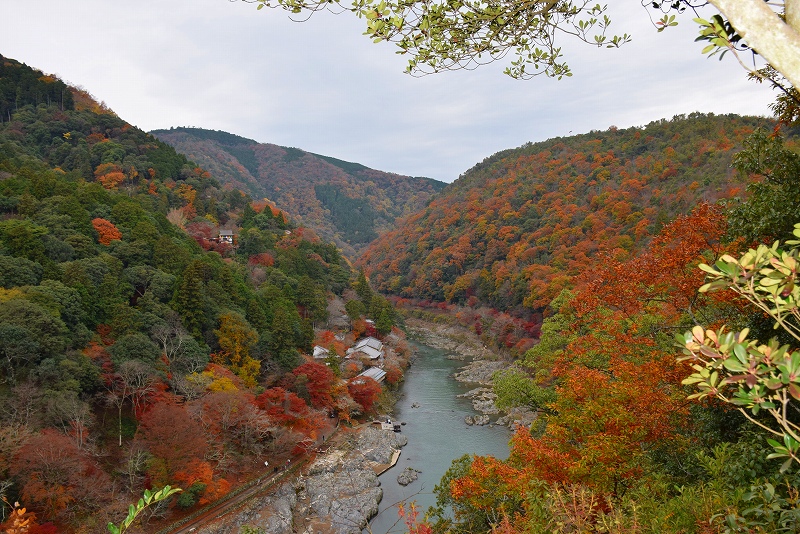 今年も凄い人出、紅葉の『嵐山』20141130_e0237645_21255836.jpg