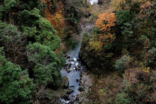 c0093046_6182139.gif