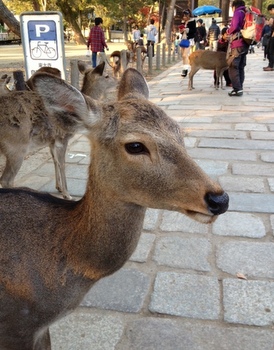 e0218249_2015232.jpg