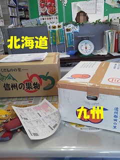 d0138650_179855.jpg