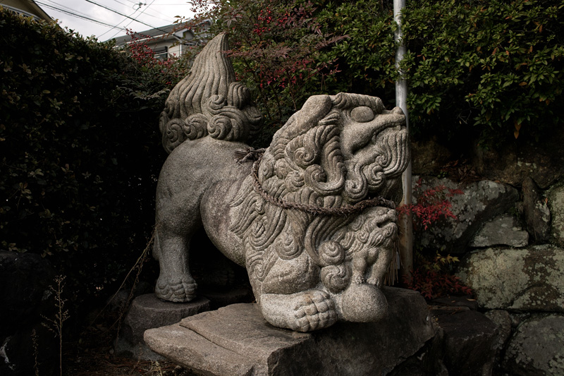 赤鳥居の狛犬_c0181552_20121280.jpg