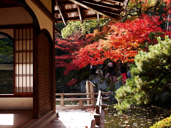 　　和歌山城紅葉渓庭園の紅葉　　２０２２-１２-０９　００：００_b0093754_20382080.jpg