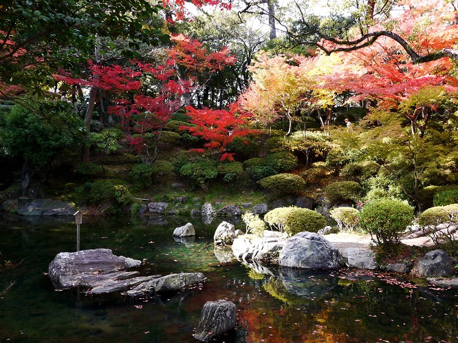 　　和歌山城紅葉渓庭園の紅葉　　２０２２-１２-０９　００：００_b0093754_20391755.jpg