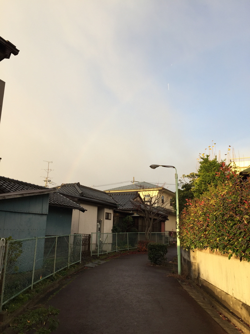 抗凝固薬を選ぶときの患者さん説明用の表:Circulation誌_a0119856_23155018.jpg