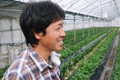 熊本イチゴ『さがほのか』 安心・安全で美味しいこだわりのイチゴ_a0254656_18142098.jpg