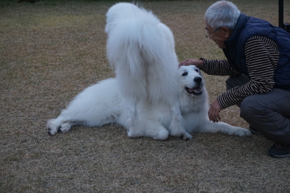 a0201257_10115601.jpg