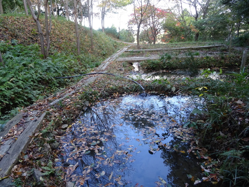 c0108460_18241577.jpg