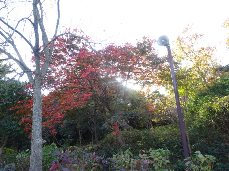 c0108460_18241655.jpg