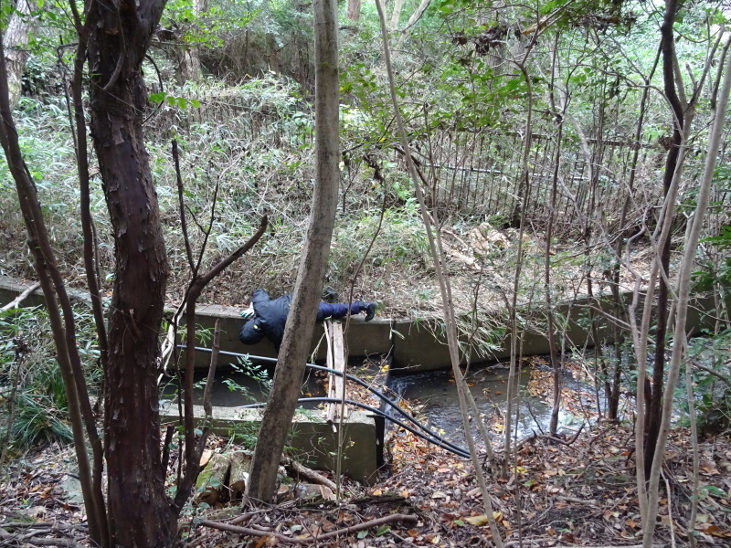 c0108460_18314452.jpg