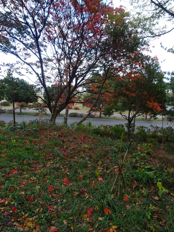 c0108460_18410355.jpg