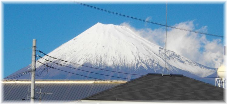 富士山と銀杏_f0233362_1626896.jpg