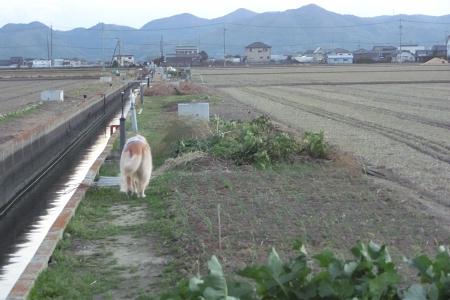 冬将軍がやってきたー_b0112568_18163145.jpg