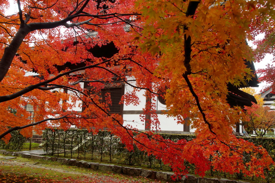 東福寺_e0096372_06143608.jpg