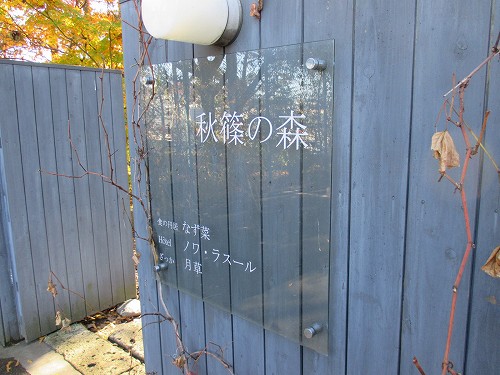 c0015978_112274.jpg