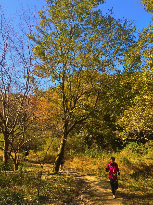 Mountain Running Session with ALTRA Ambassador 2014/11/22-23 Day.1_b0220886_16573545.jpg