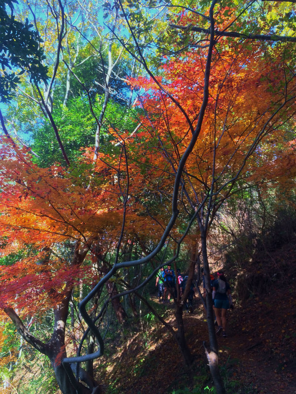 Mountain Running Session with ALTRA Ambassador 2014/11/22-23 Day.1_b0220886_16574625.jpg