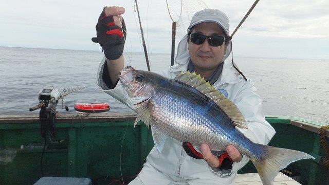 八丈島の幸・黒潮祭り♪開催中ーー(^o^)／_f0033986_15581396.jpg