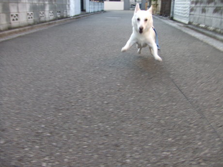 c0253487_05295539.jpg