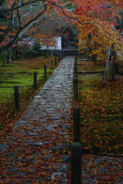 一休寺（酬恩庵）_e0051888_1632319.jpg