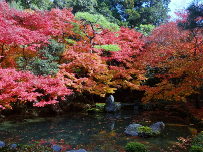 紅葉狩り　in　鞍馬_a0082693_0545416.jpg