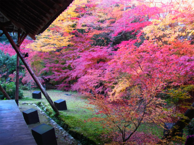 紅葉狩り　in　鞍馬_a0082693_1205751.jpg