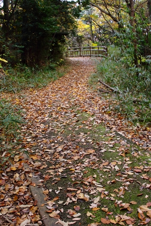 b0236595_113162.jpg