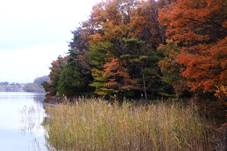 b0236595_117223.jpg