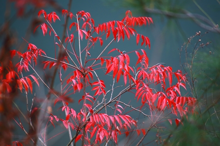 b0236595_1191557.jpg