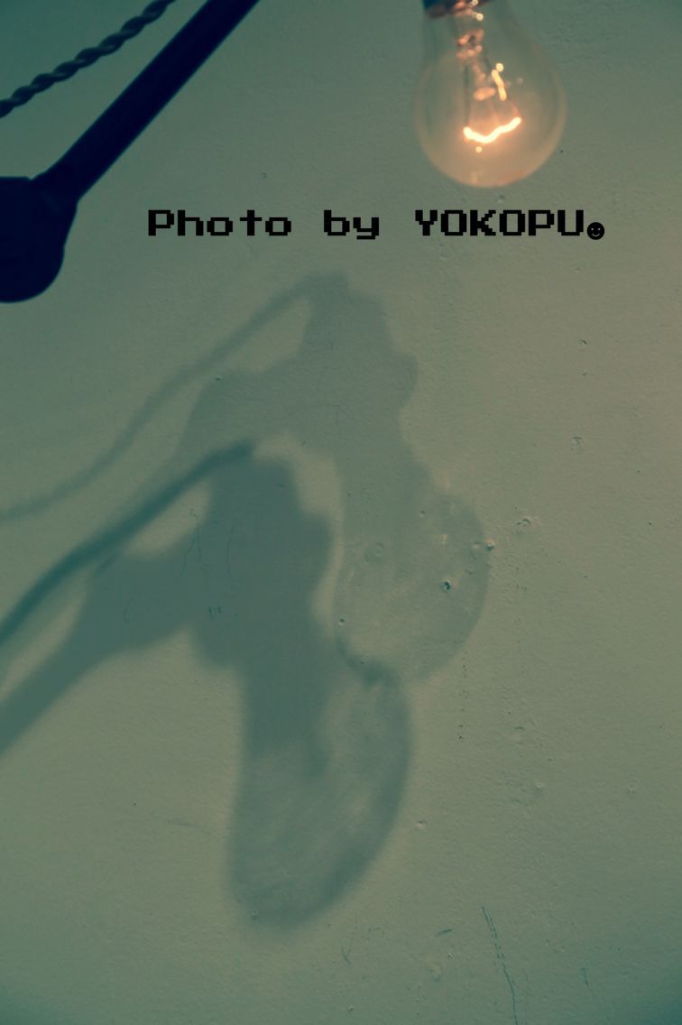 d0330095_10303458.jpg